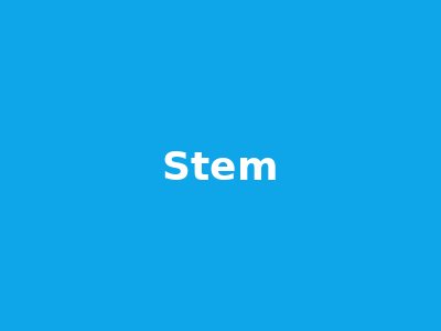 STEM Excellence scholarship students at Auckland Royal Academy
